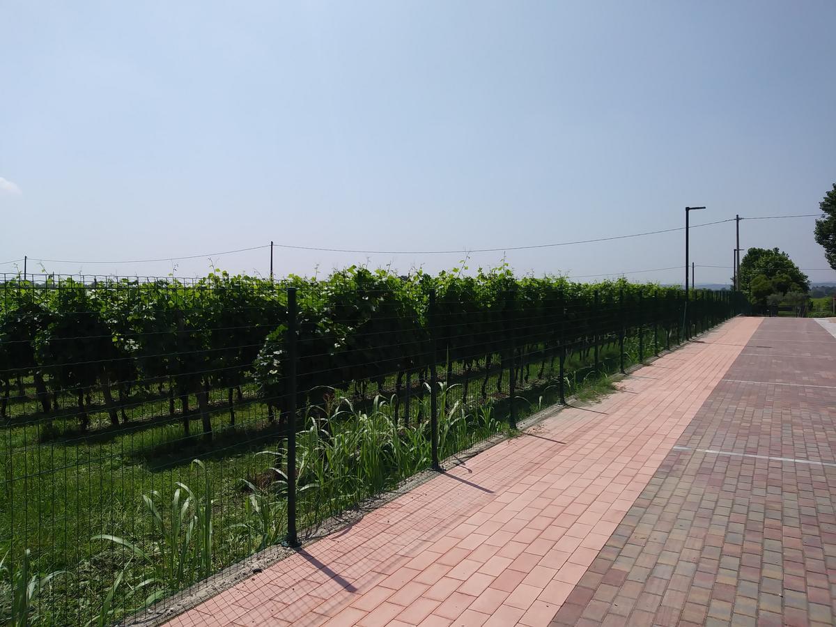 Stella Del Garda Bed & Breakfast Lazise Eksteriør bilde